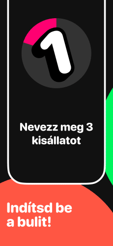 Screenshot 5 másodperc 3 válasz app